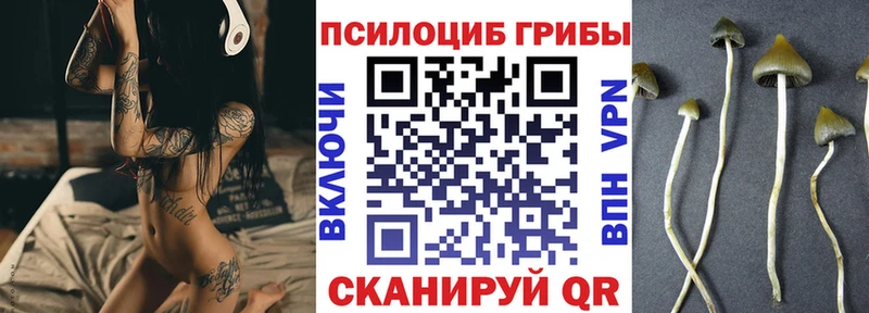 Псилоцибиновые грибы Psilocybe  Купино 